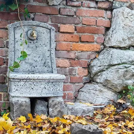 House W/castle View Garden, Wine, Garage, Netflix Case de vacanță